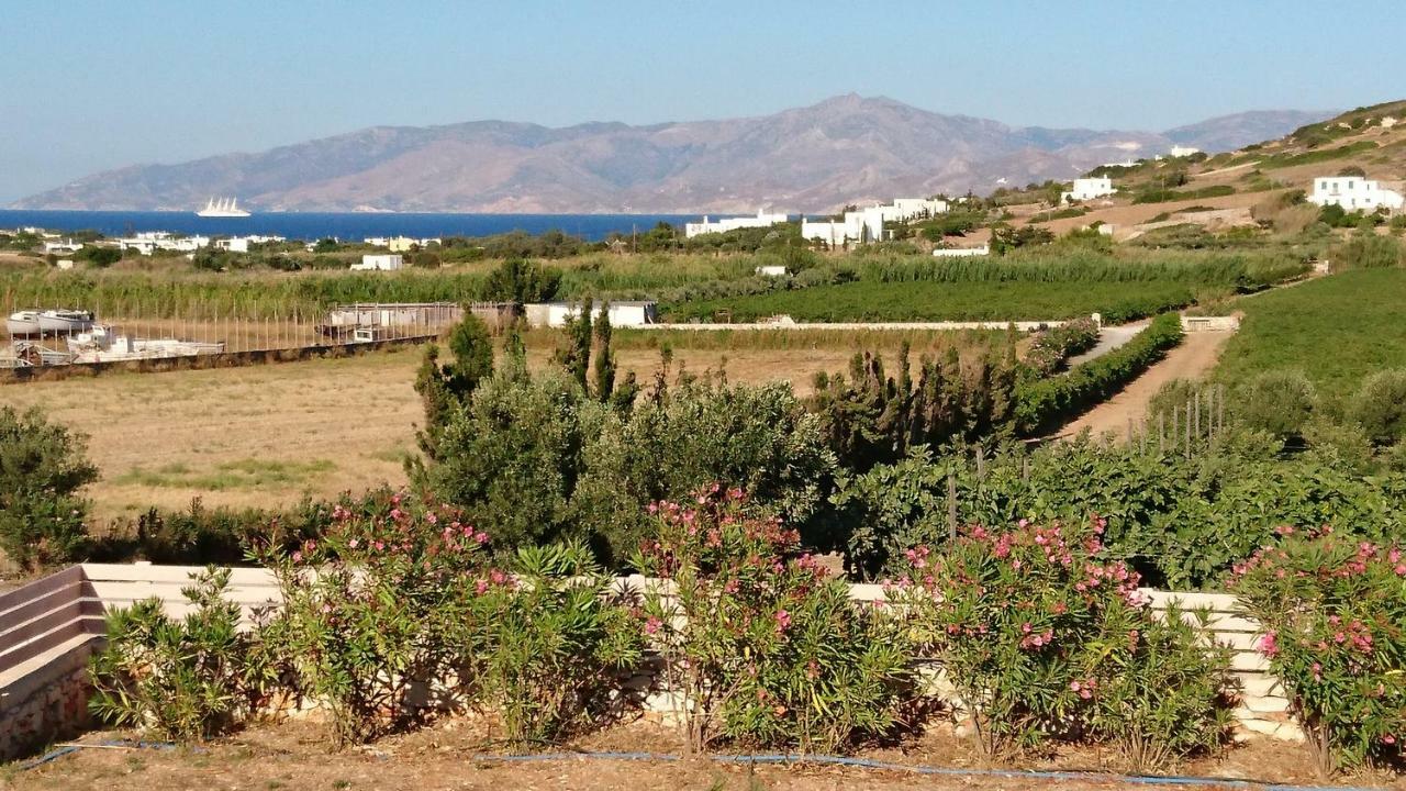 Villa Kampos Naousa-Marpisa Ampelas Exterior foto